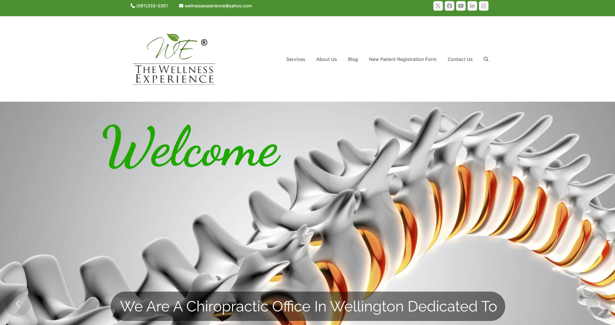 The Wellness Experience
